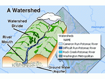 DC Watershed Map logo